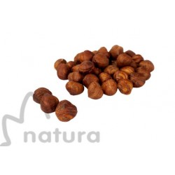 Raw Natural Hazelnut