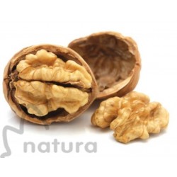 Large National Shell Nut