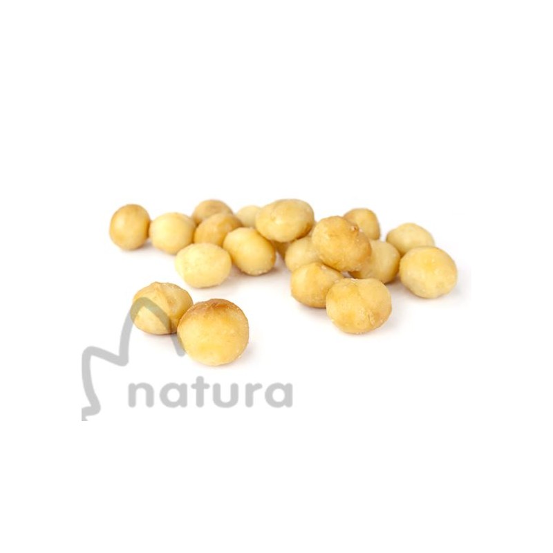 Nuez Macadamia Fritas | SalazónArte
