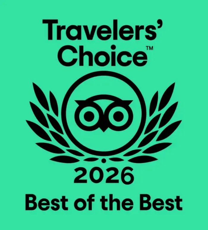 Premio Tripadvisor Travellers' Choice 2025: SalazónArte entre el 10% mejor del mundo